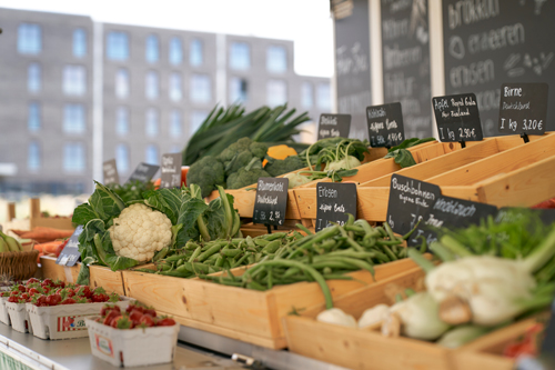 Papes Gemüsegarten Stand in den Steimker Gärten