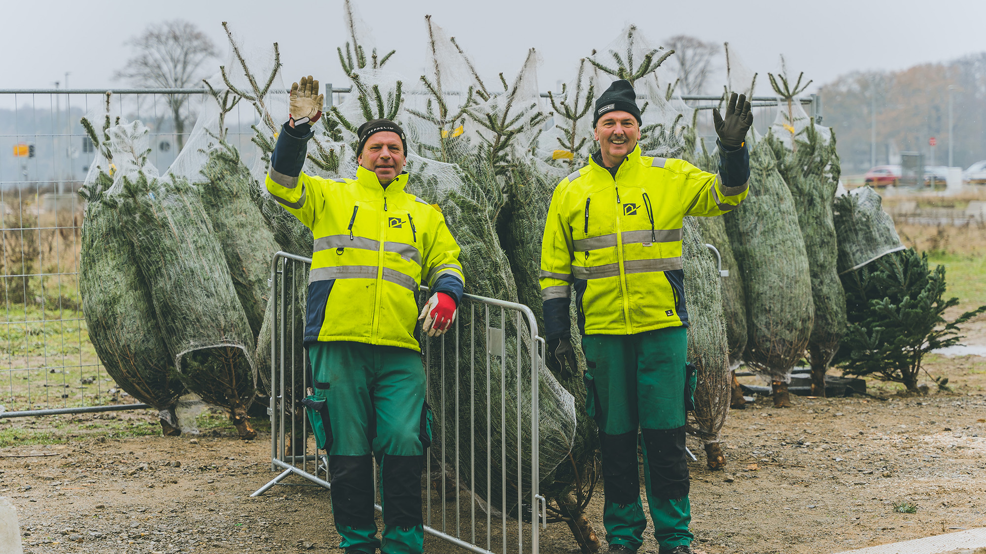 Weihnachtsbaumaktion Steimker Gärten