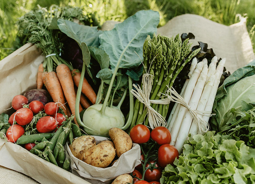 Gemüse aus Papes Gemüsegarten