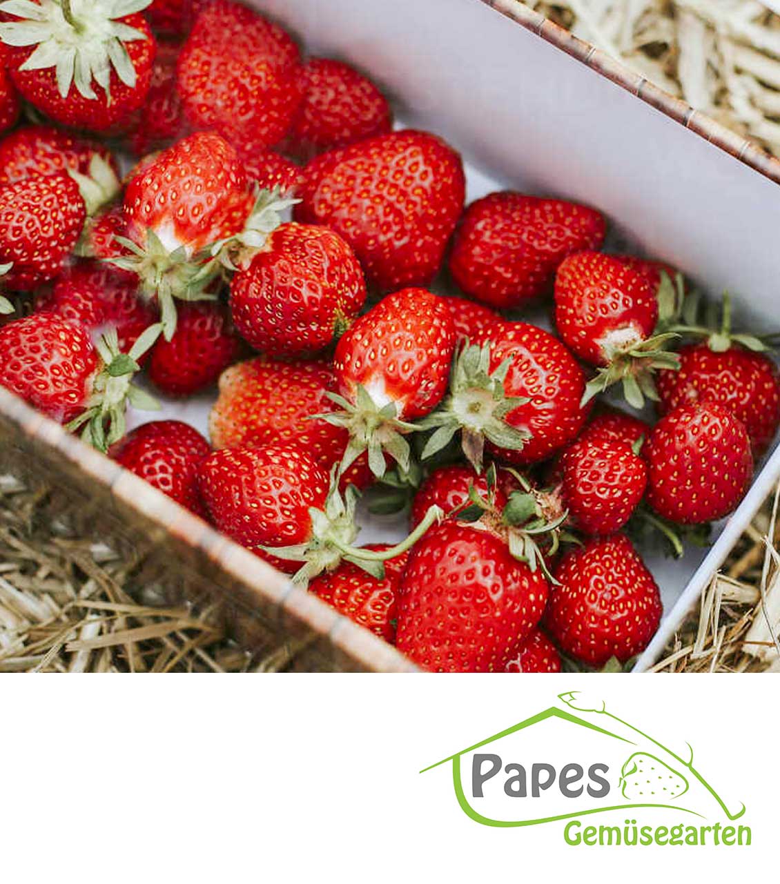 Eine Box mit Erdbeeren